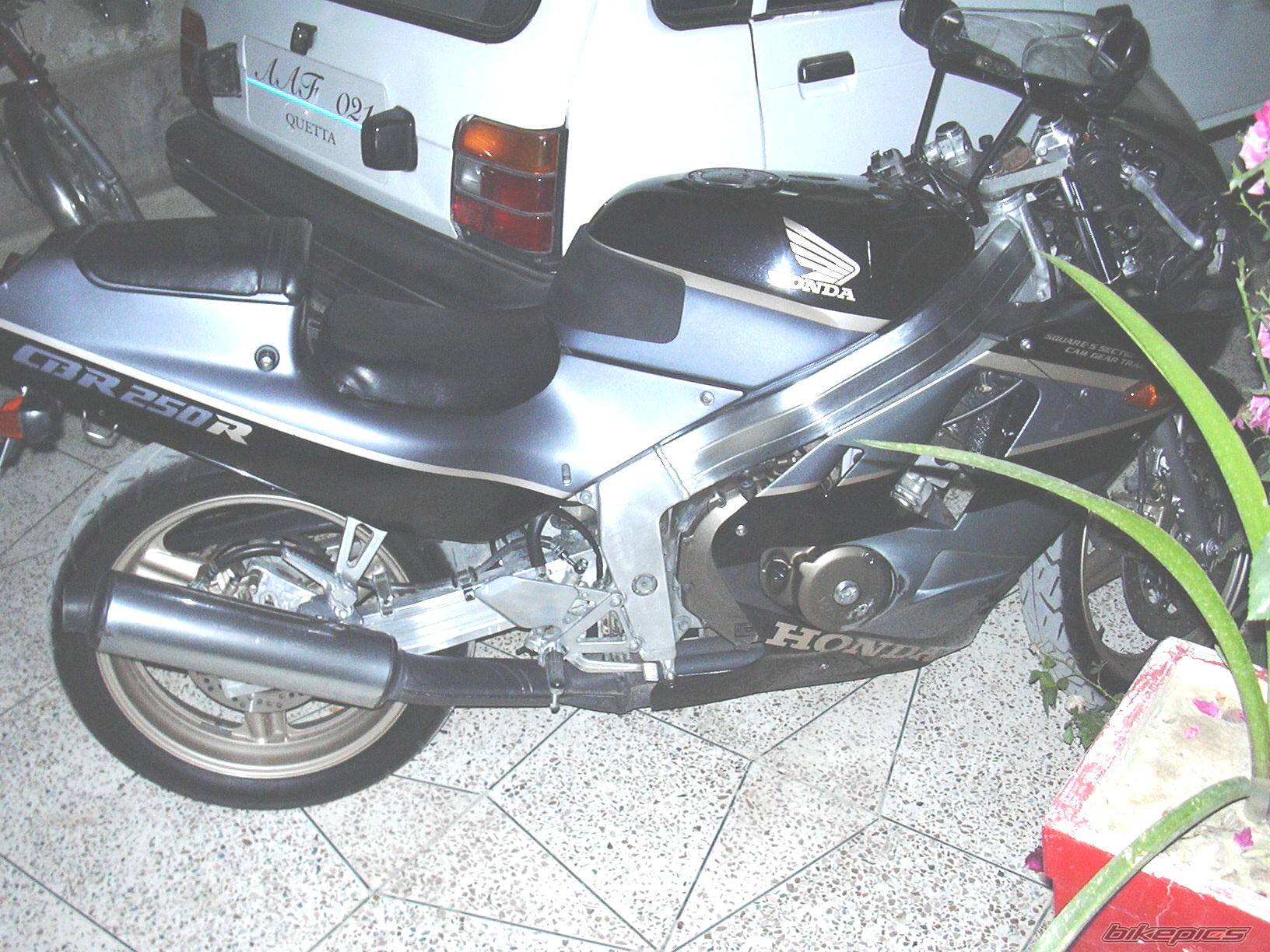 Photo 233431