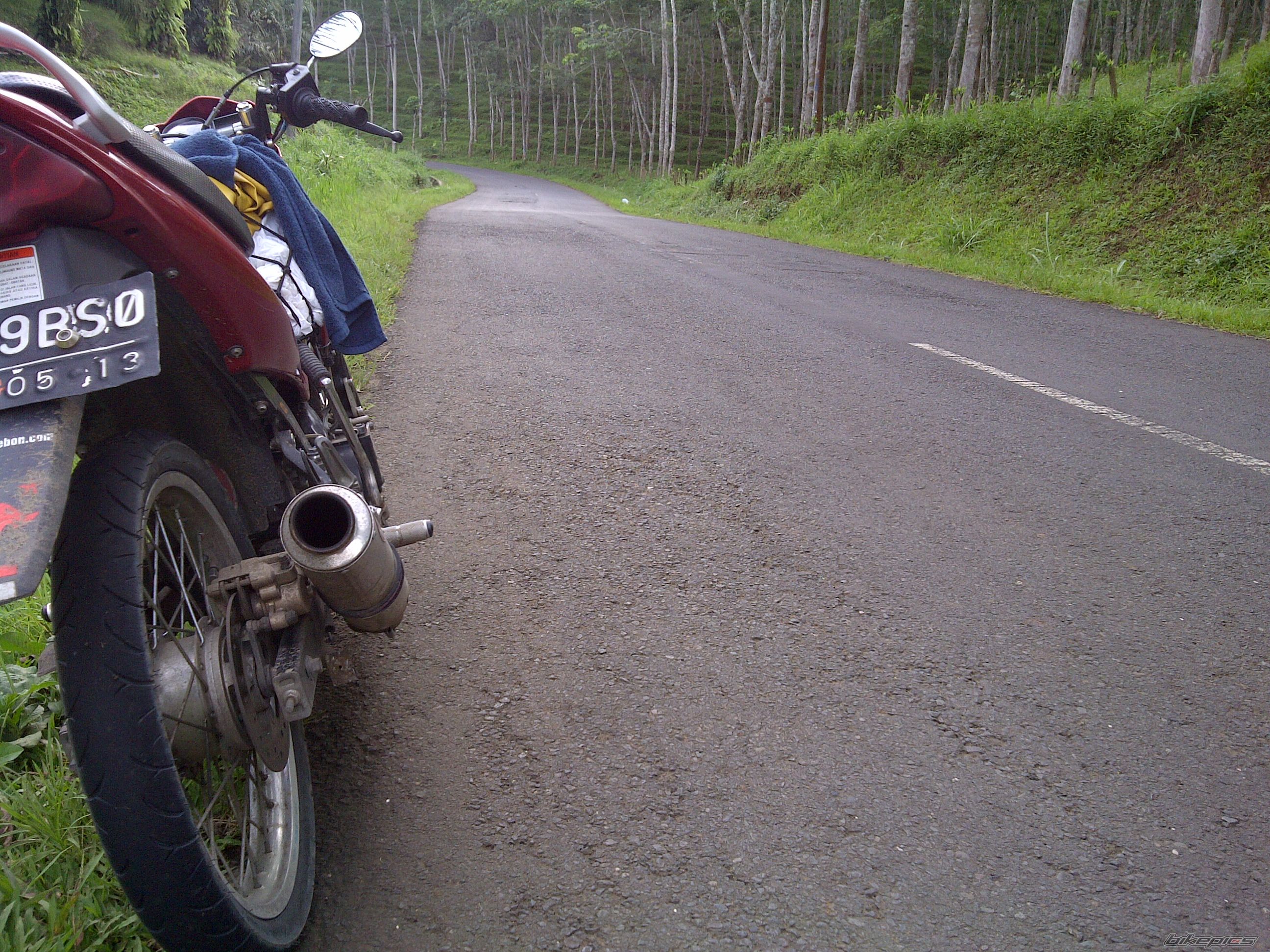 Photo 2334341