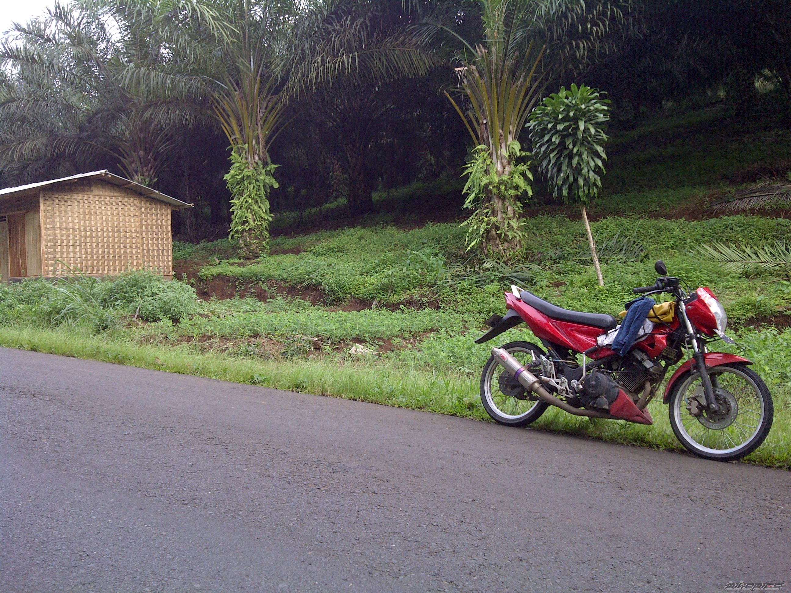 Photo 2334342