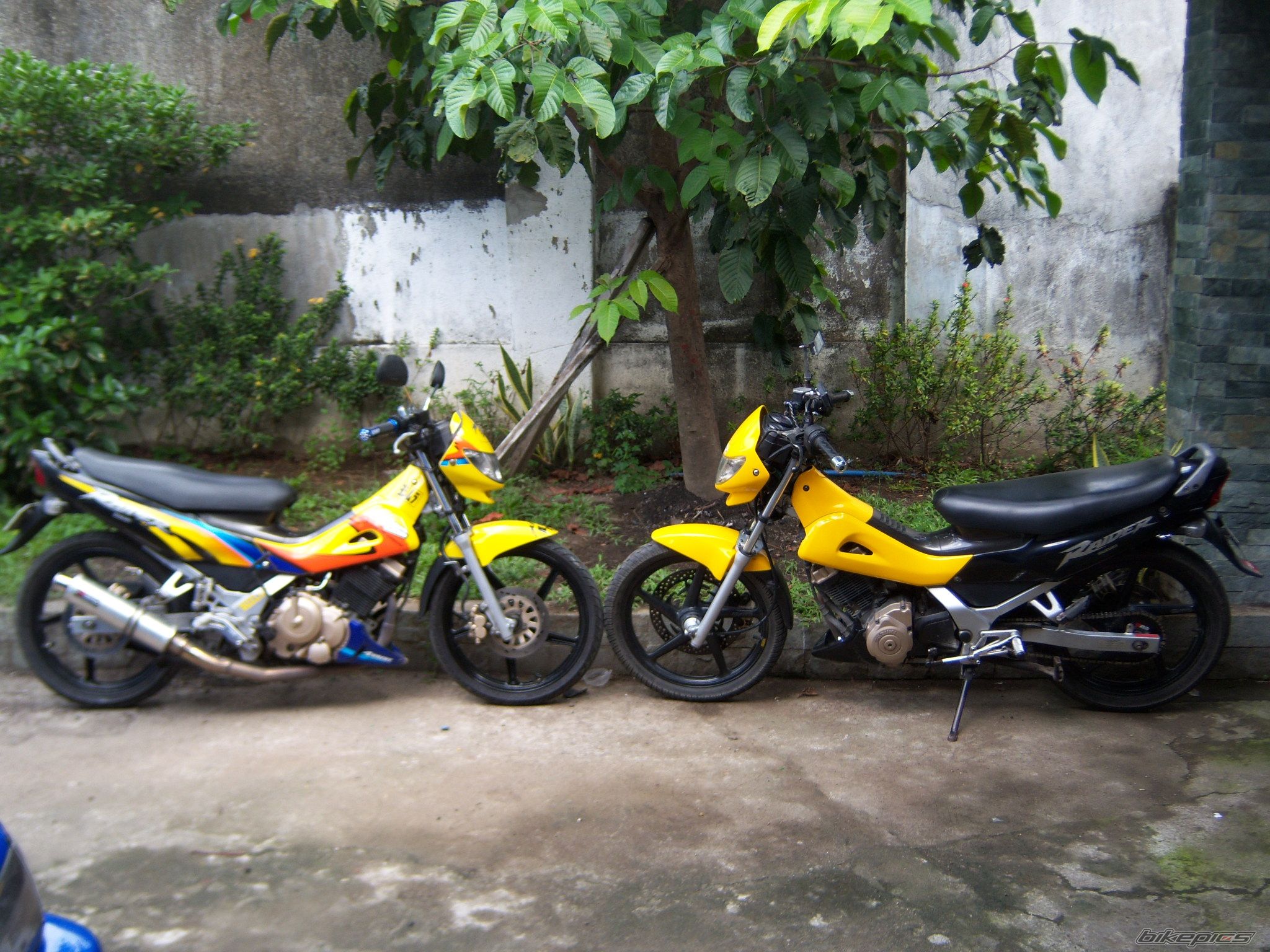 Photo 2334370