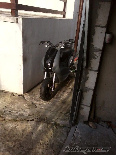 Photo 2334393