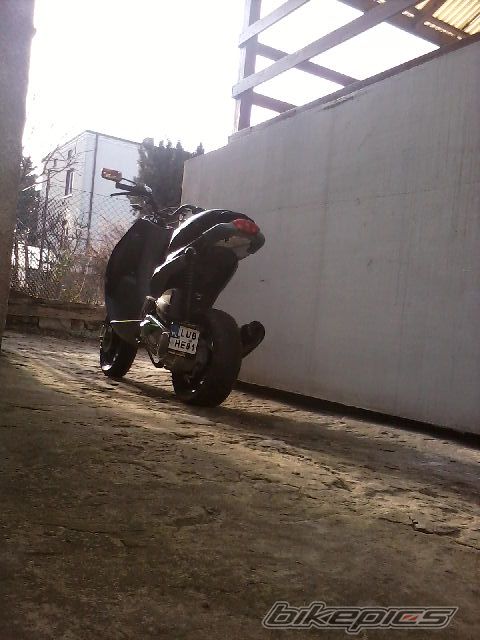 Photo 2334394