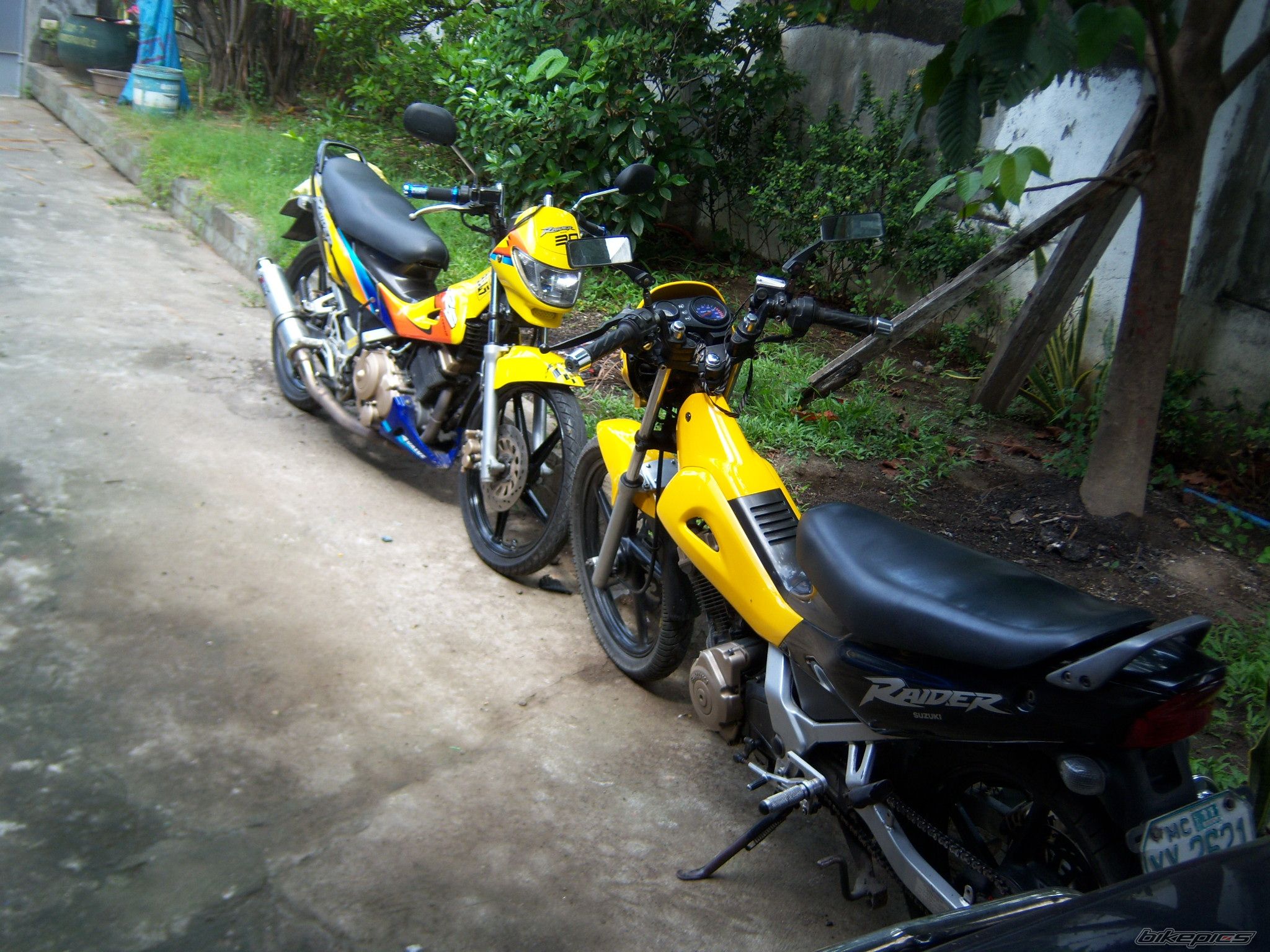 Photo 2334466