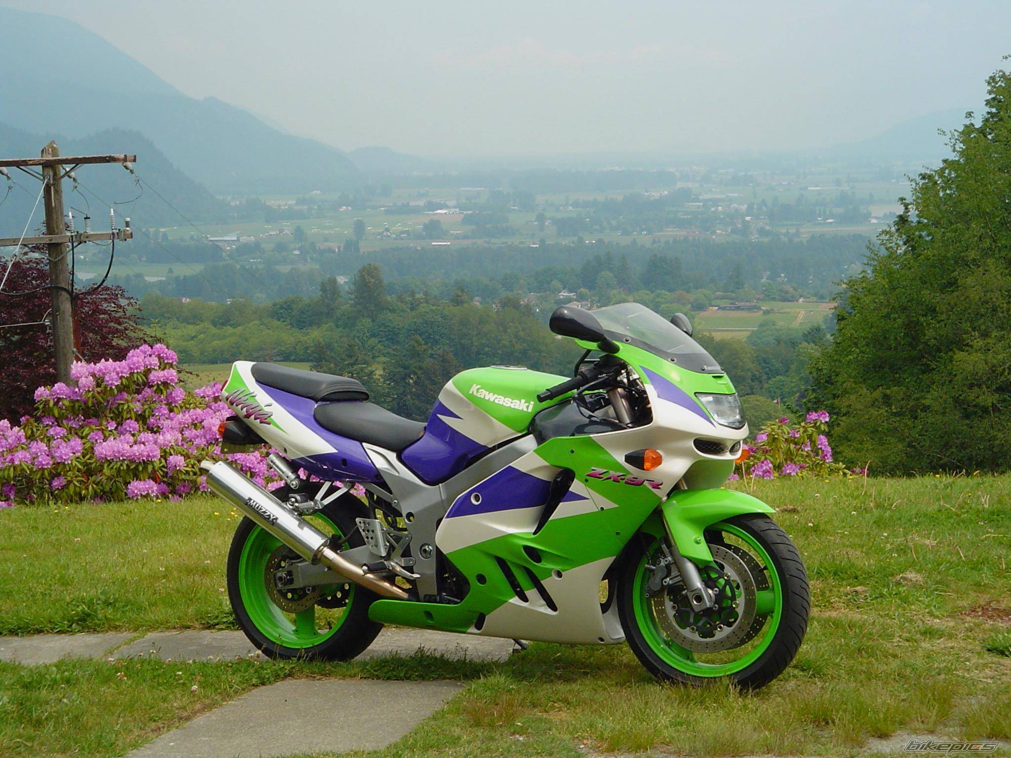 Bike Photo 233447