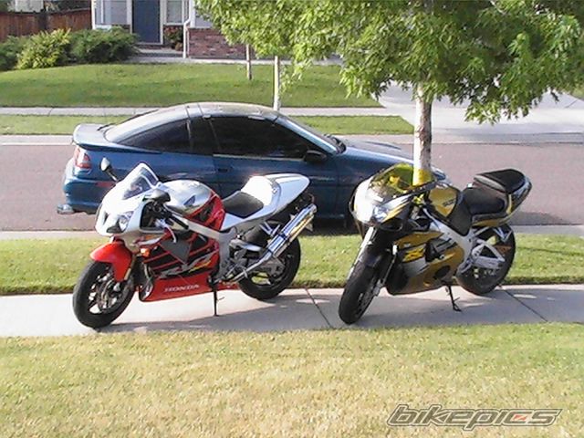 Photo 2334598