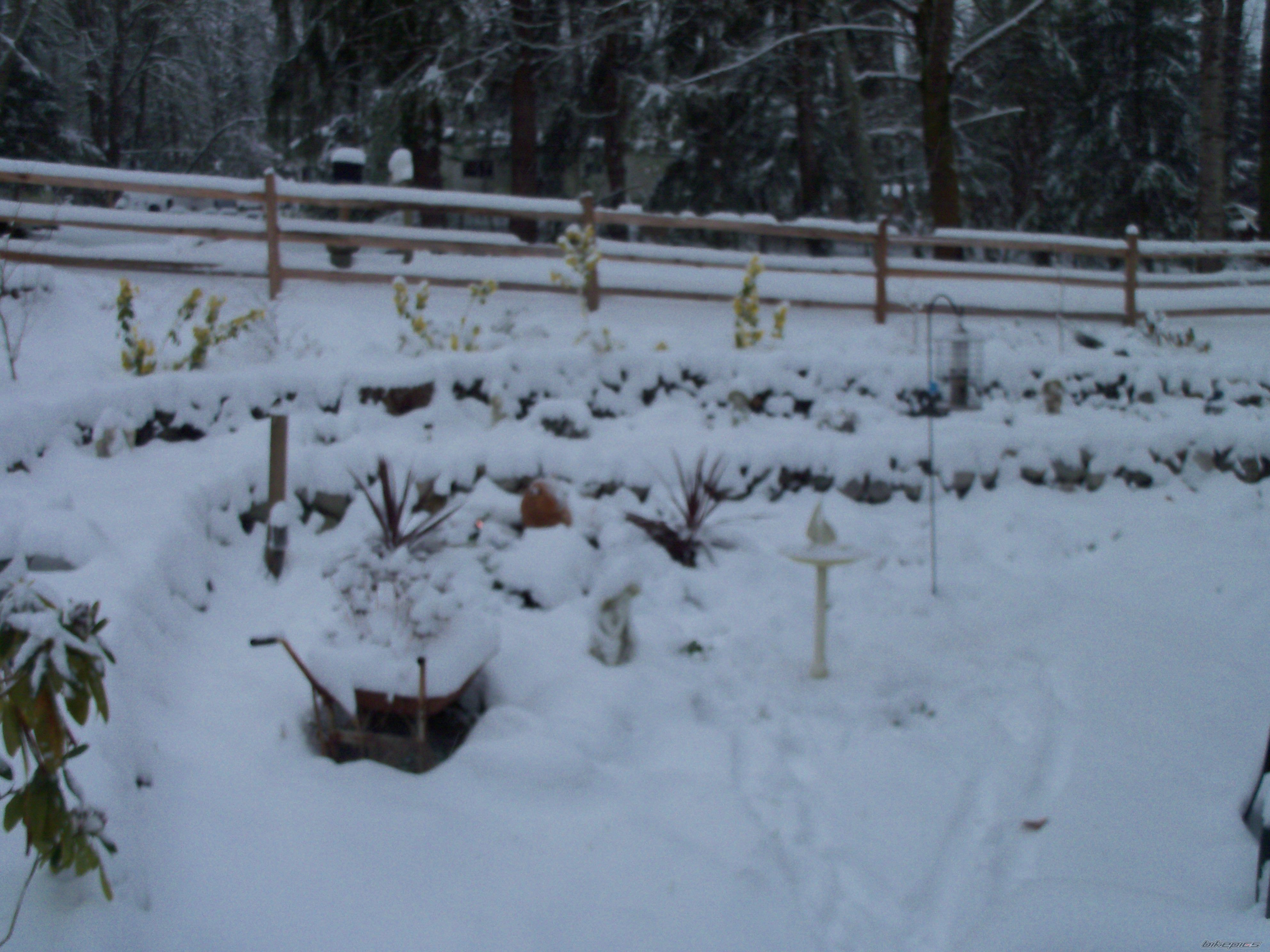 Photo 2334684