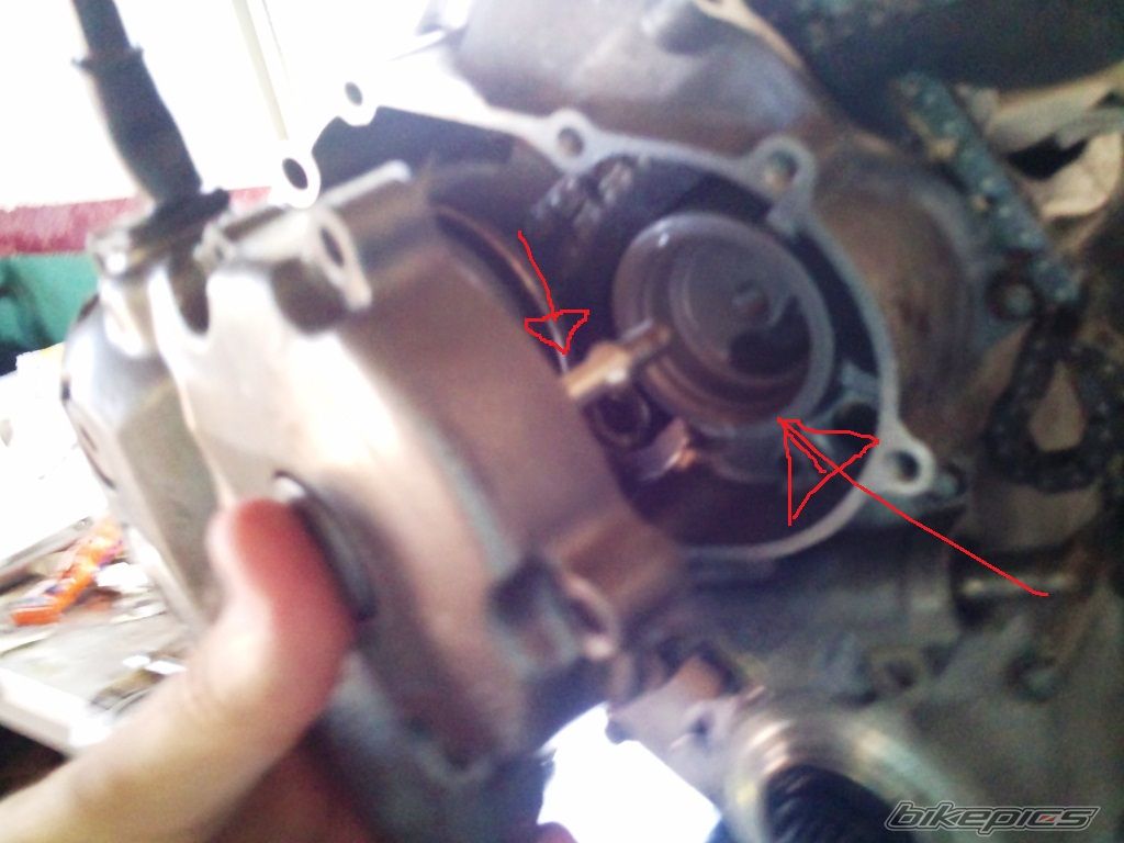 Photo 2334836