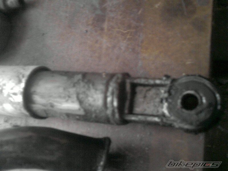 Photo 2334884