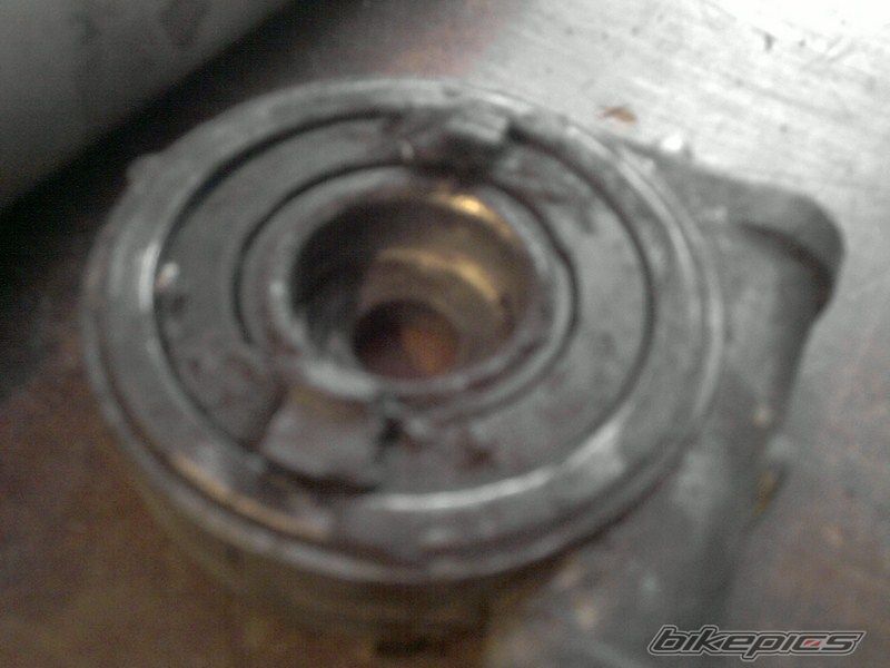 Photo 2334885