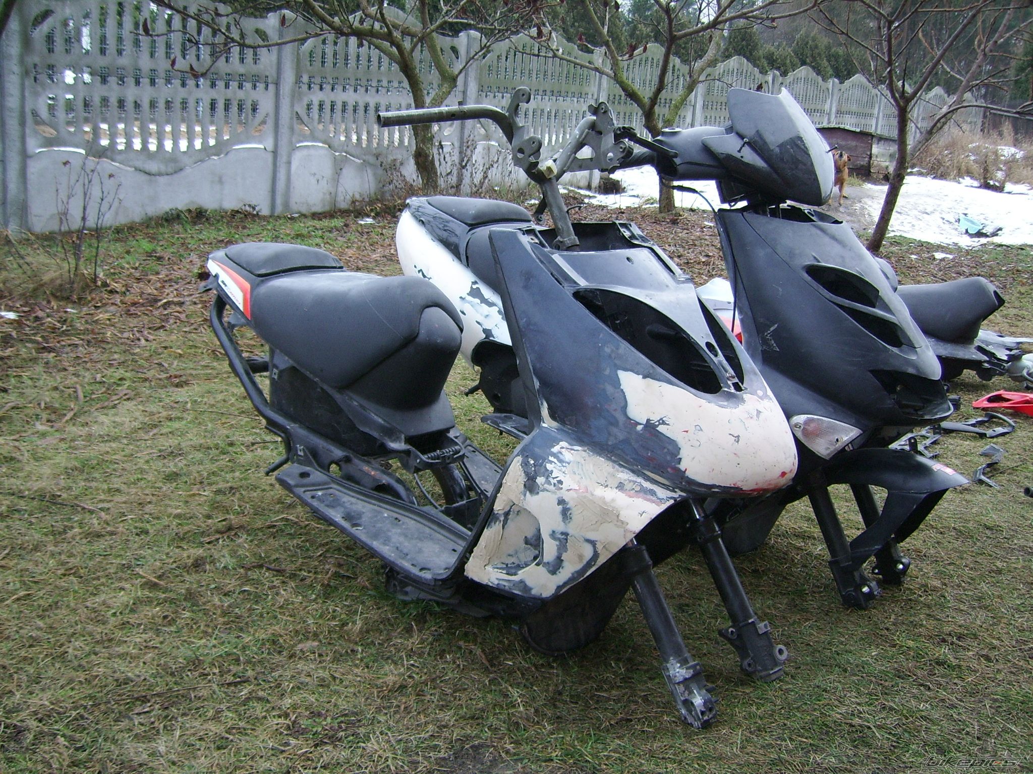 Photo 2334963