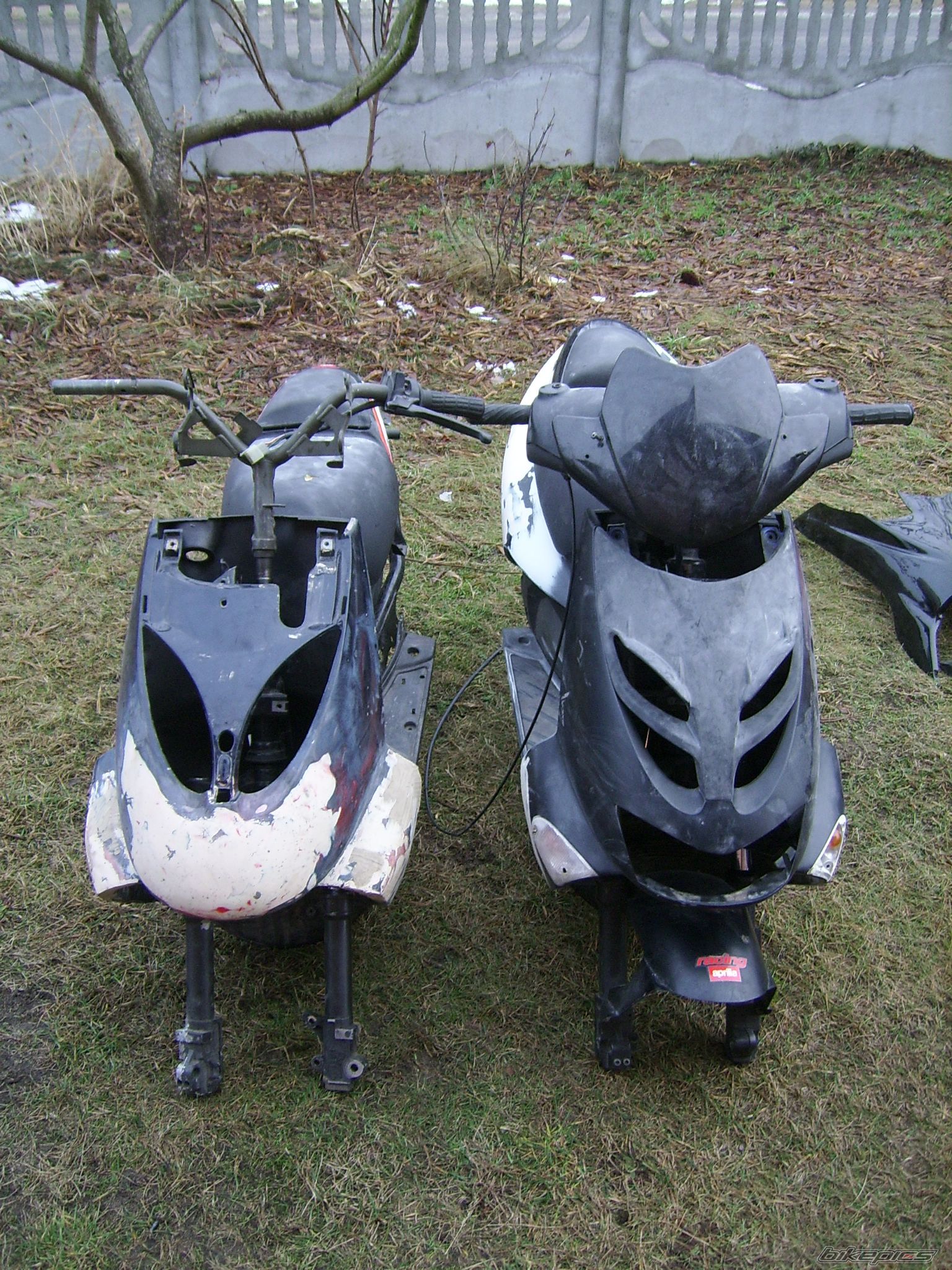 Photo 2334969