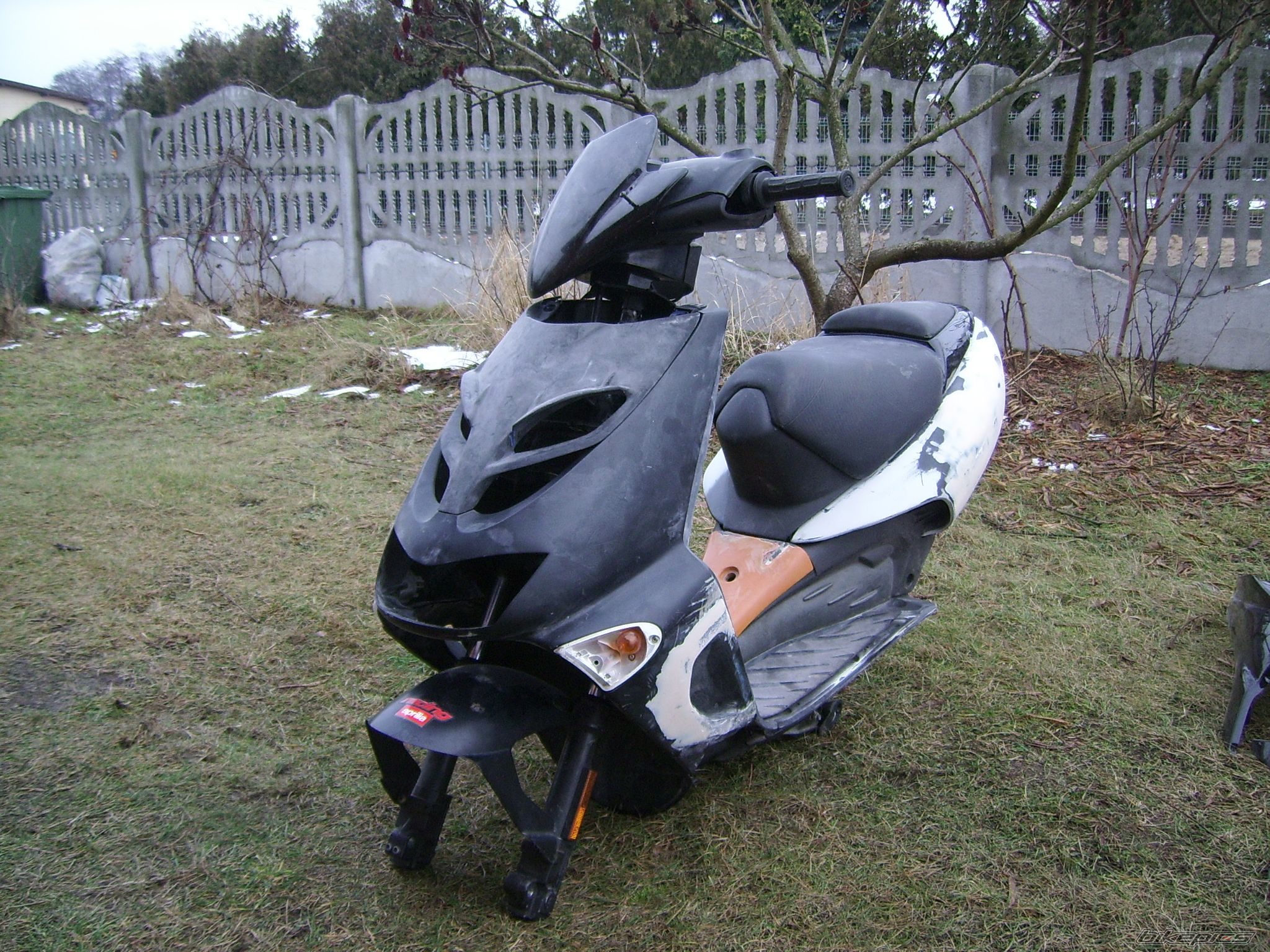 Photo 2334980
