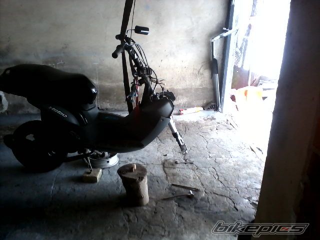 Photo 2335120