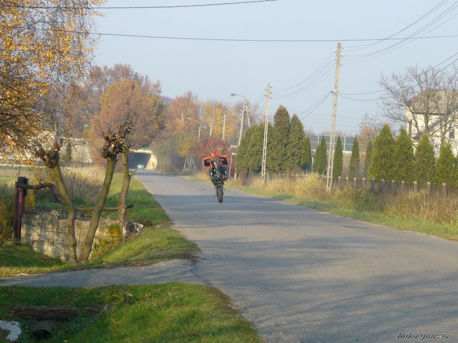 Photo 2335126