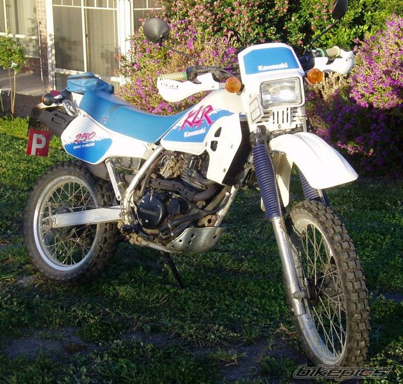 Photo 233519