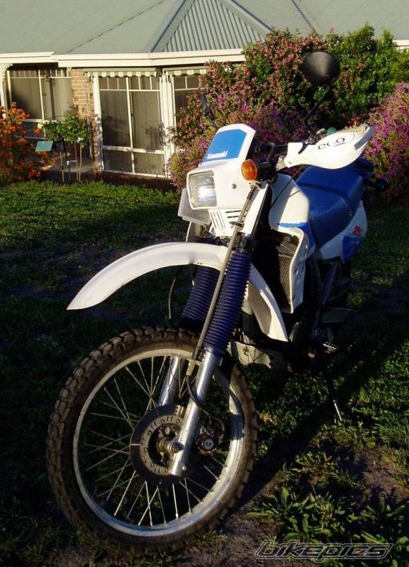 Photo 233522