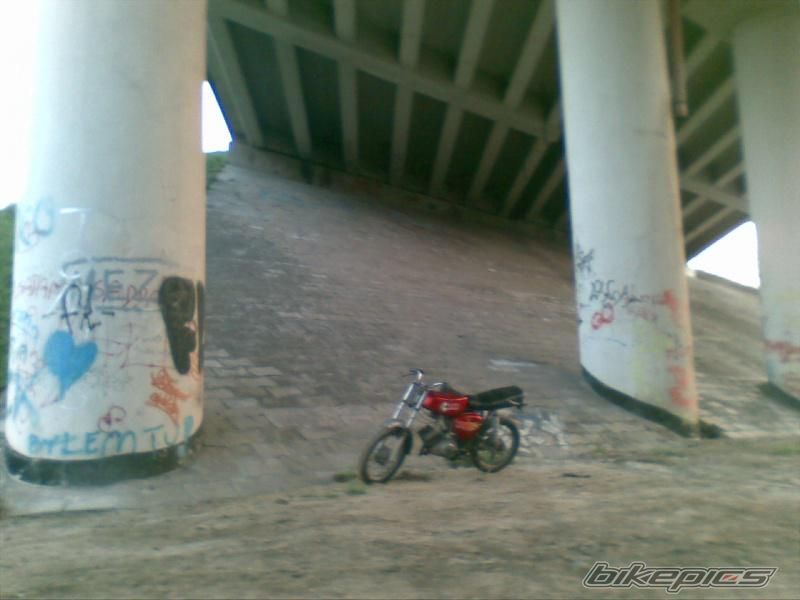 Photo 2335288