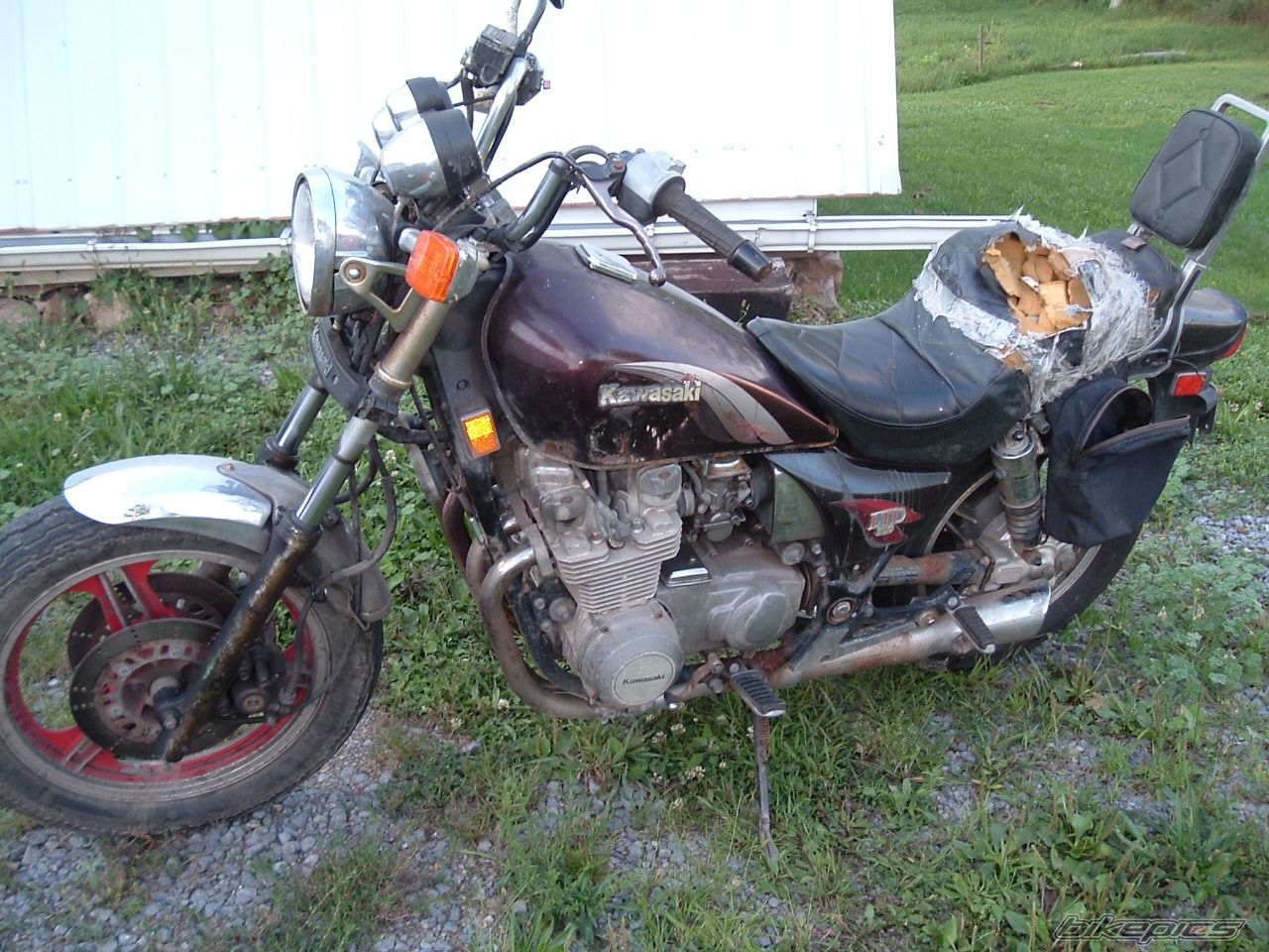 Photo 2335297