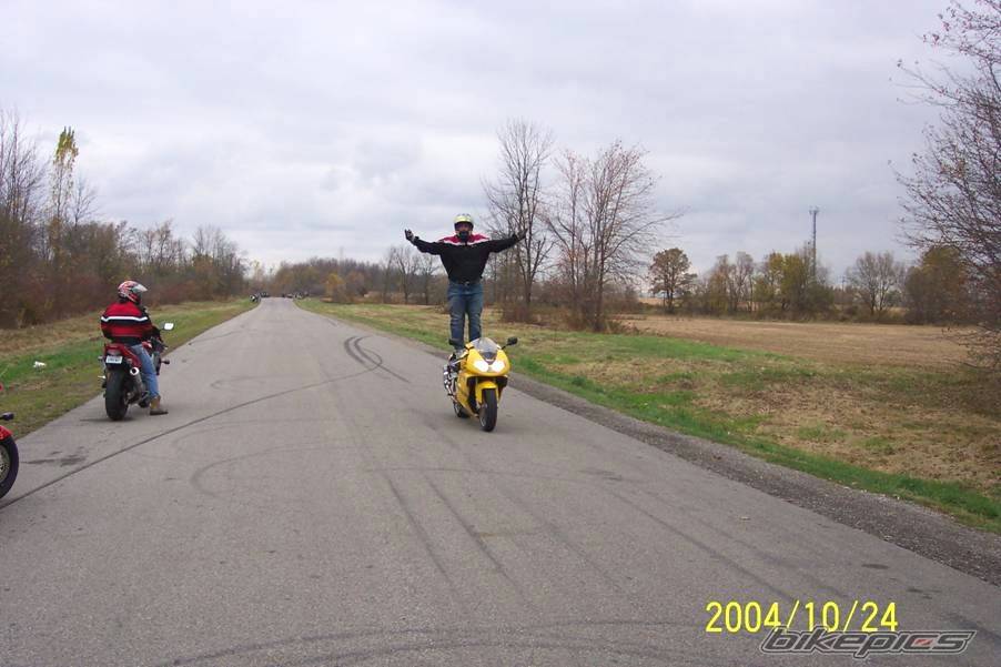 Photo 233531