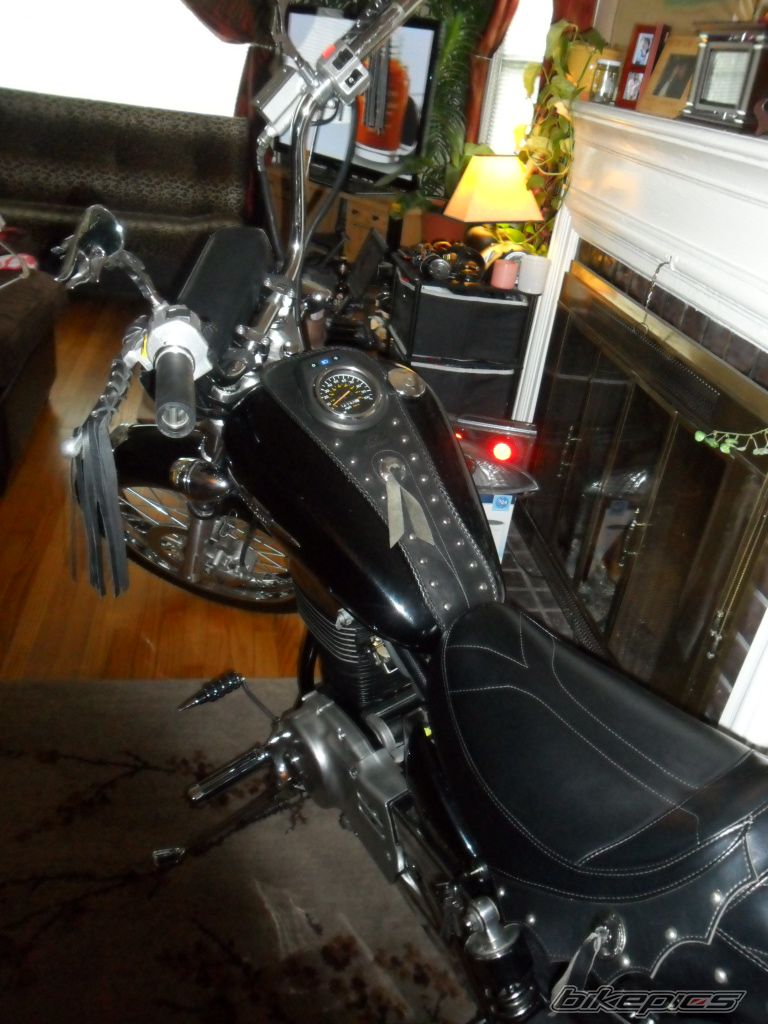 Photo 2335326