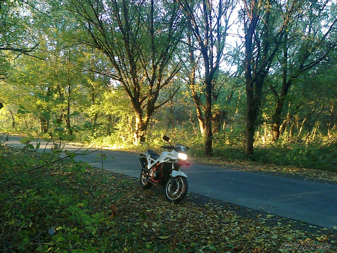 Photo 2335333