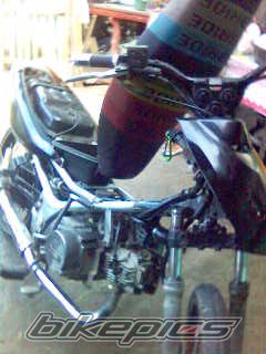 Photo 2335350