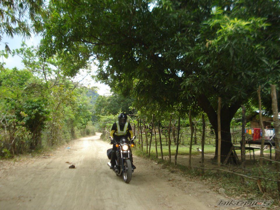 Photo 2335462