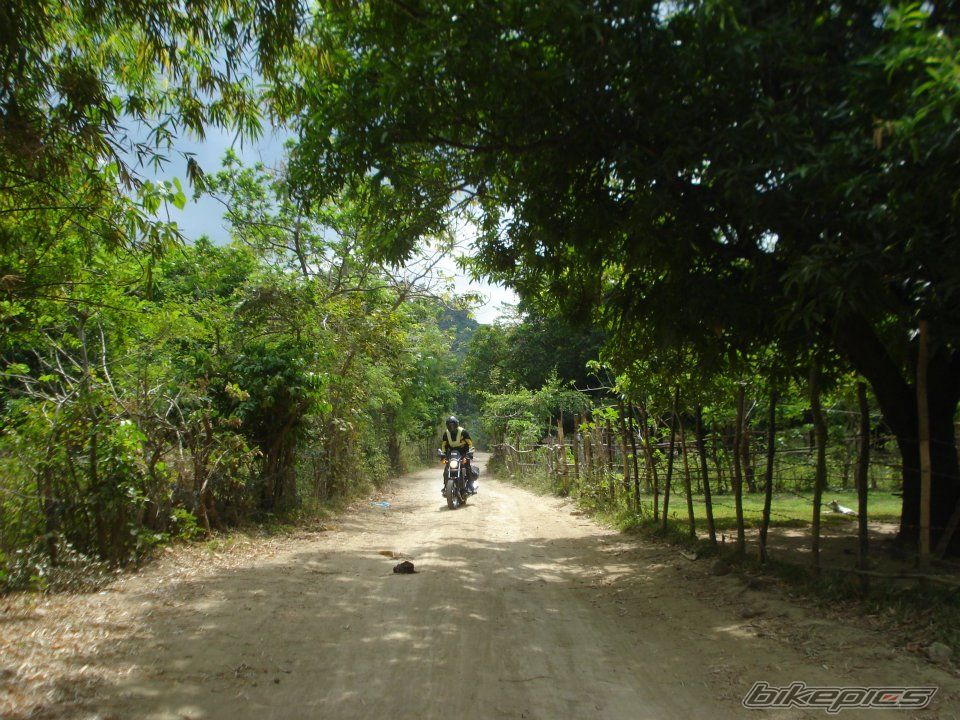 Photo 2335463