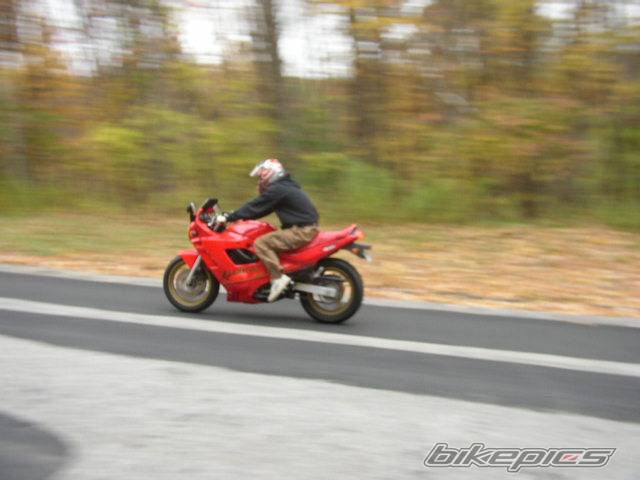 Photo 233555