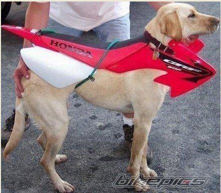 Photo 2335581