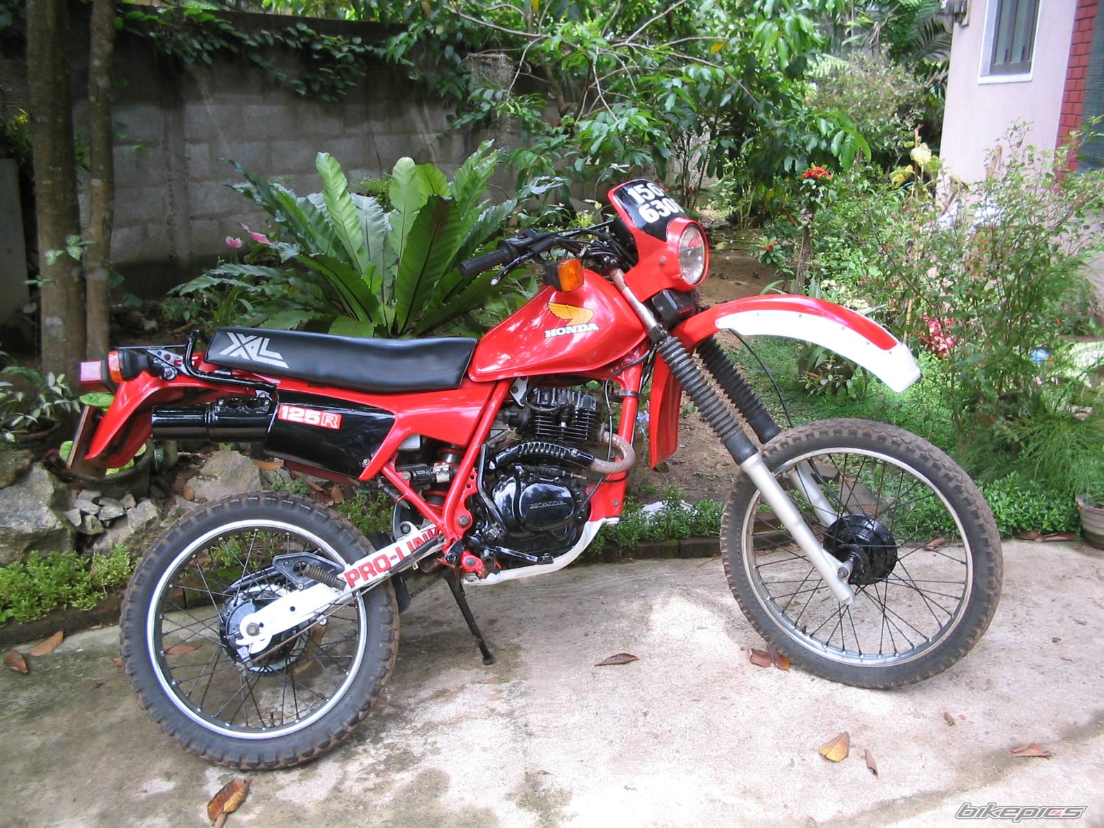 Photo 233563