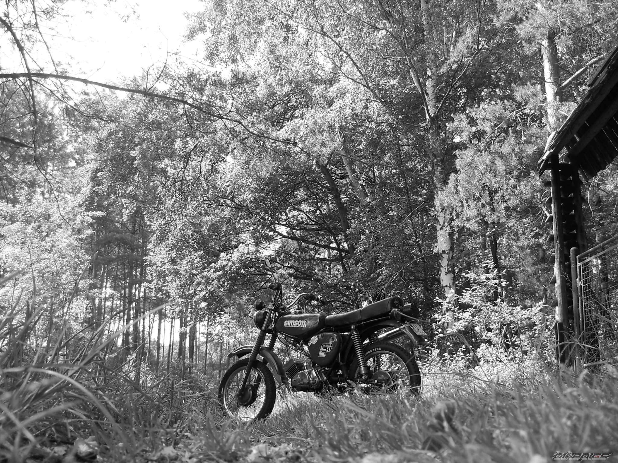 Photo 2335684