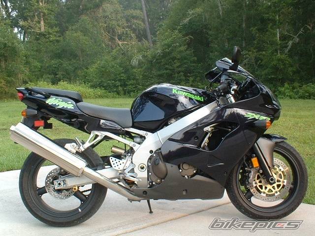 Photo 233575