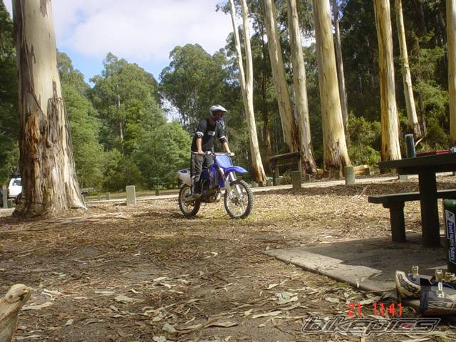 Photo 233577