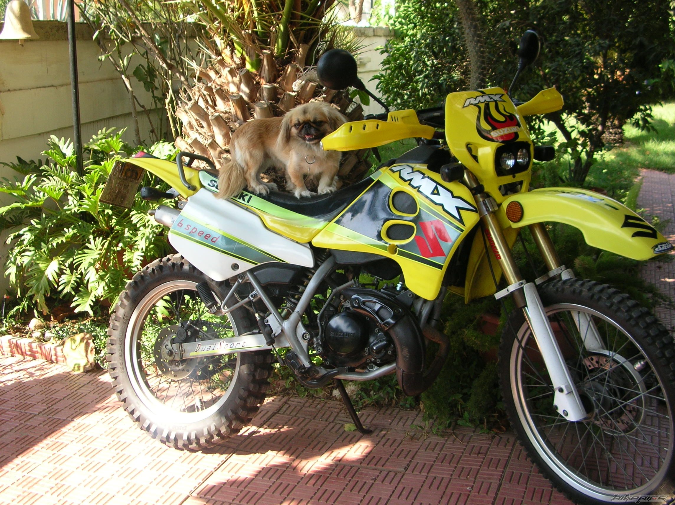 Photo 2335793