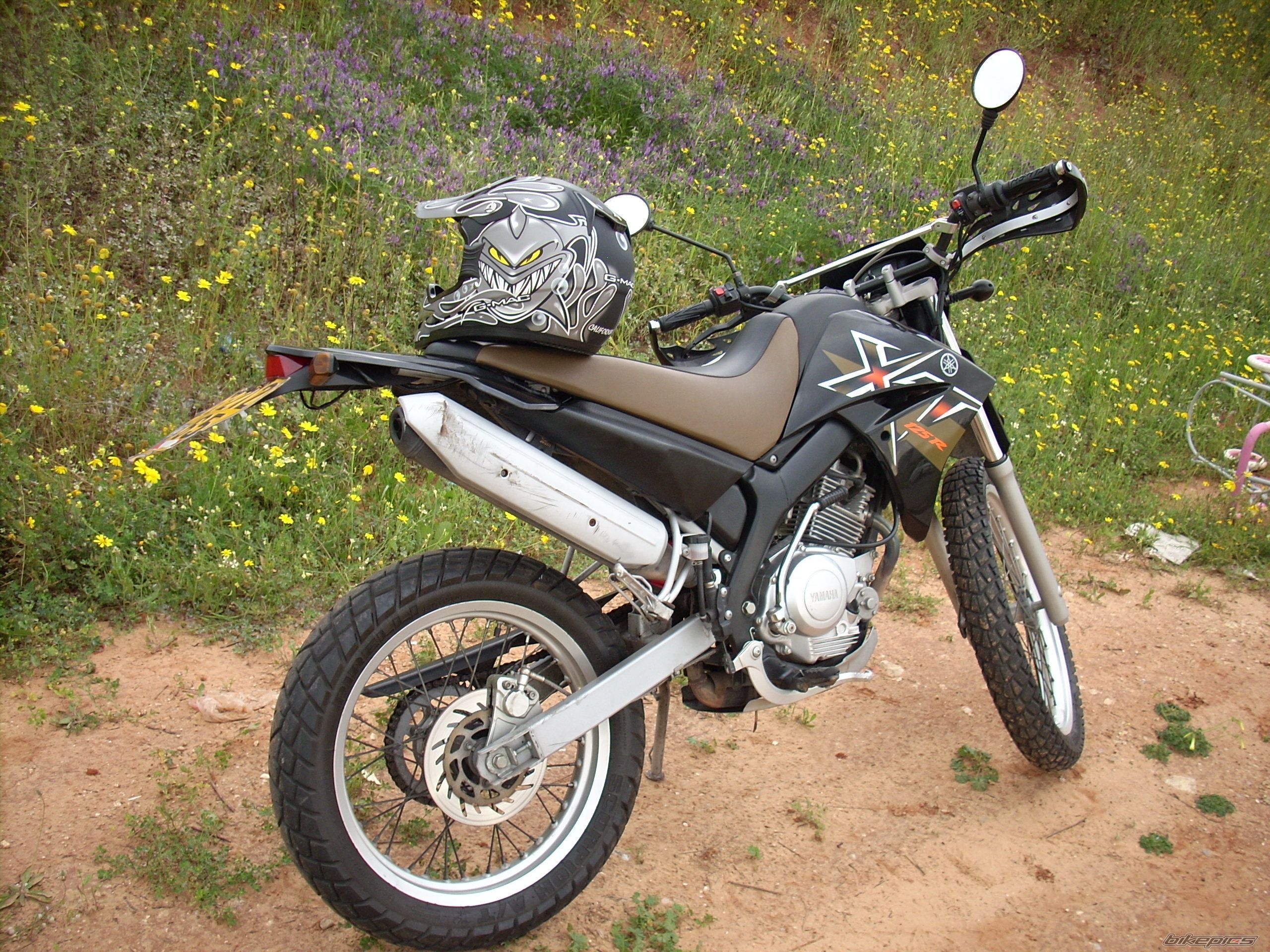 Photo 2335822