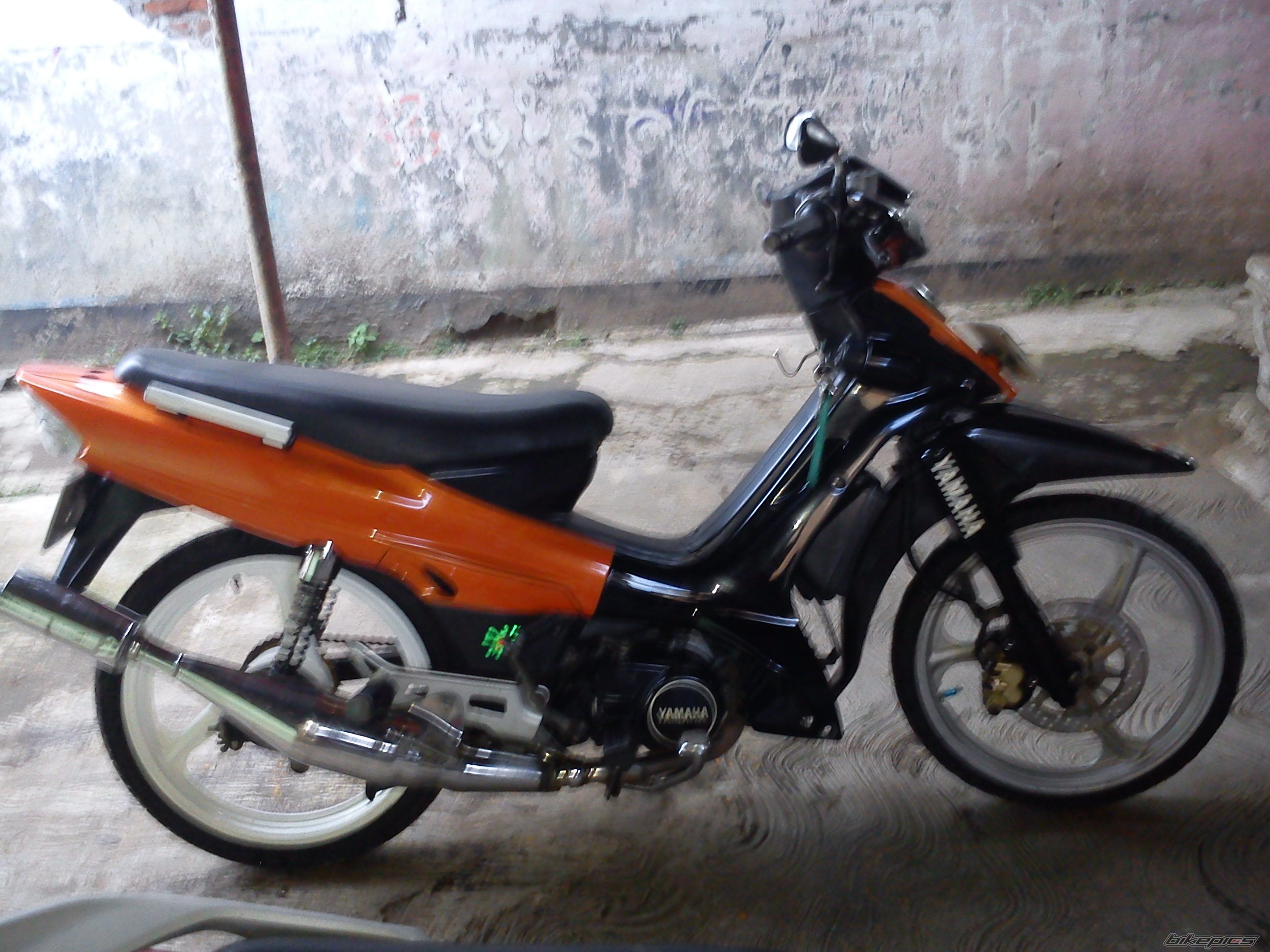 Photo 2335893