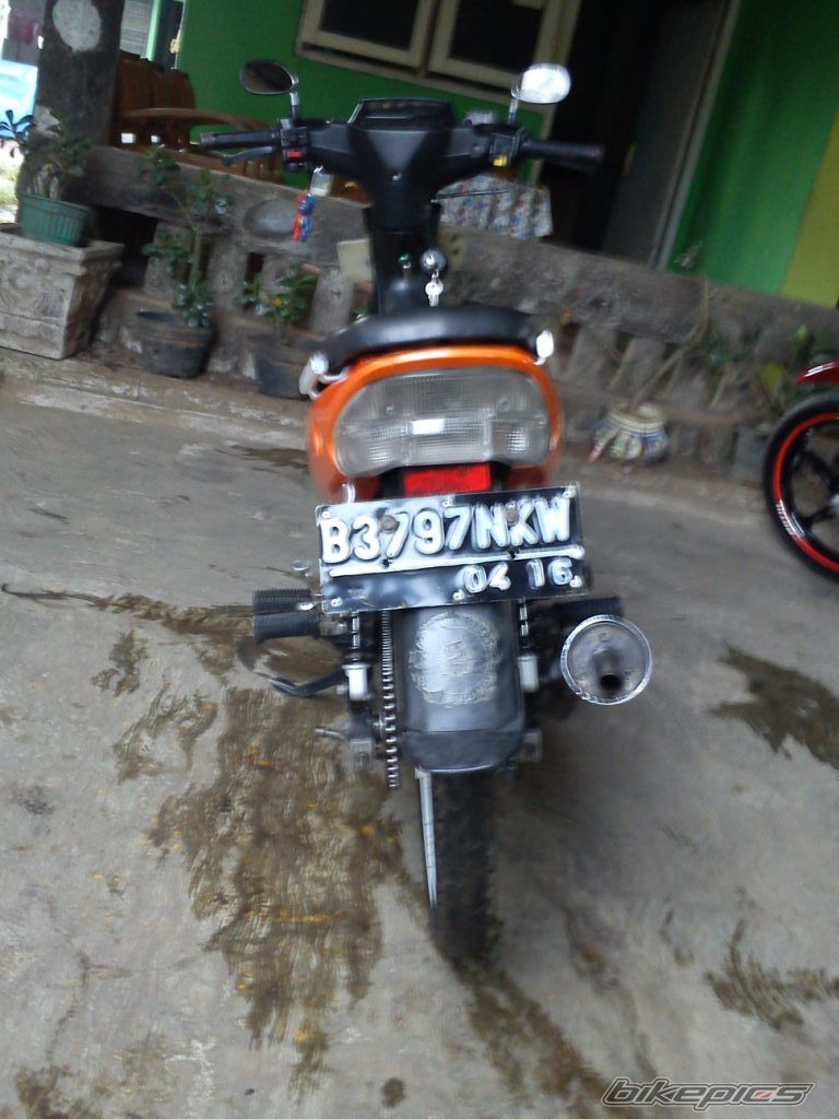 Photo 2335894