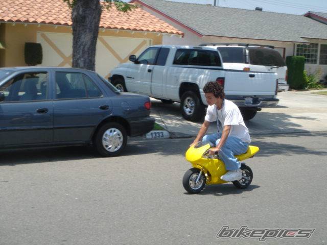 Photo 233595