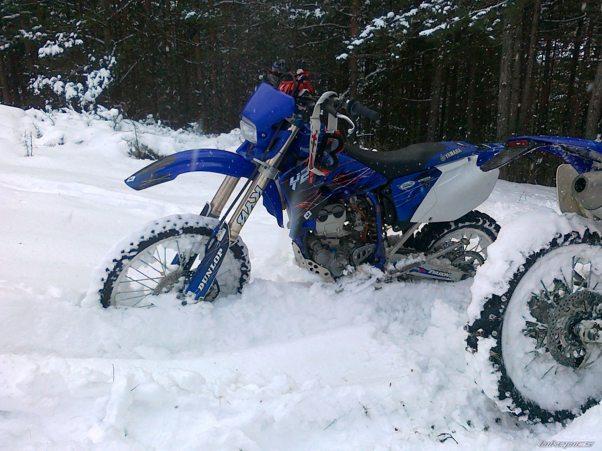 Photo 2335985