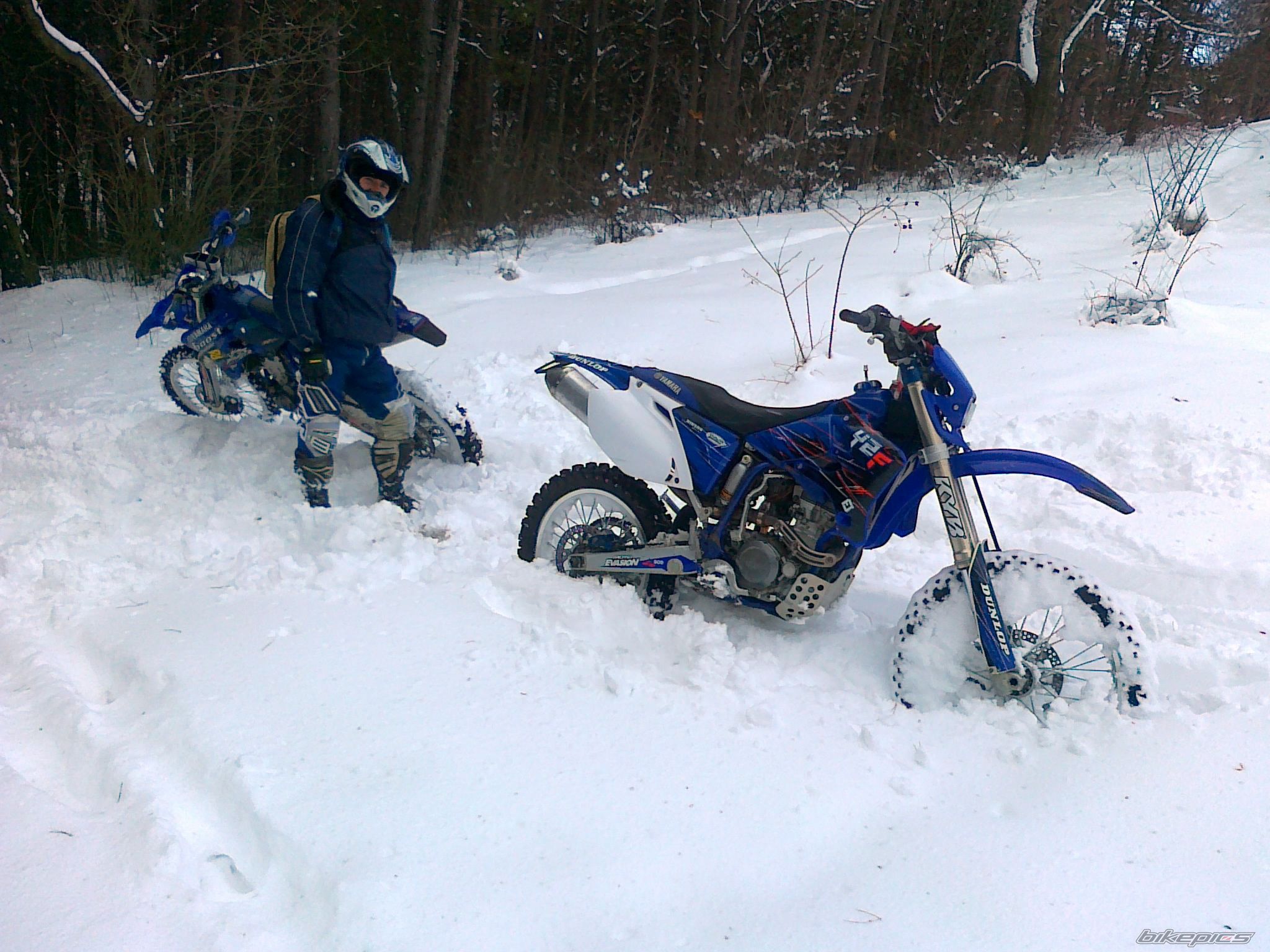 Photo 2335987