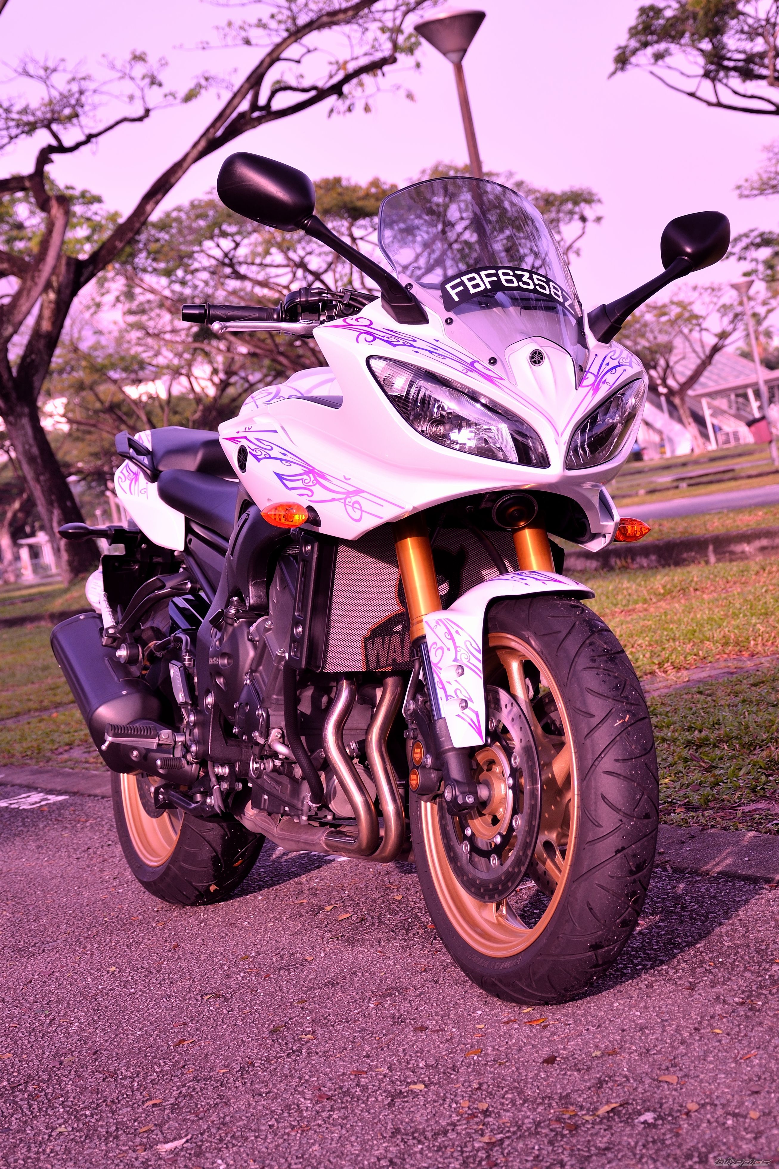 Photo 2335994