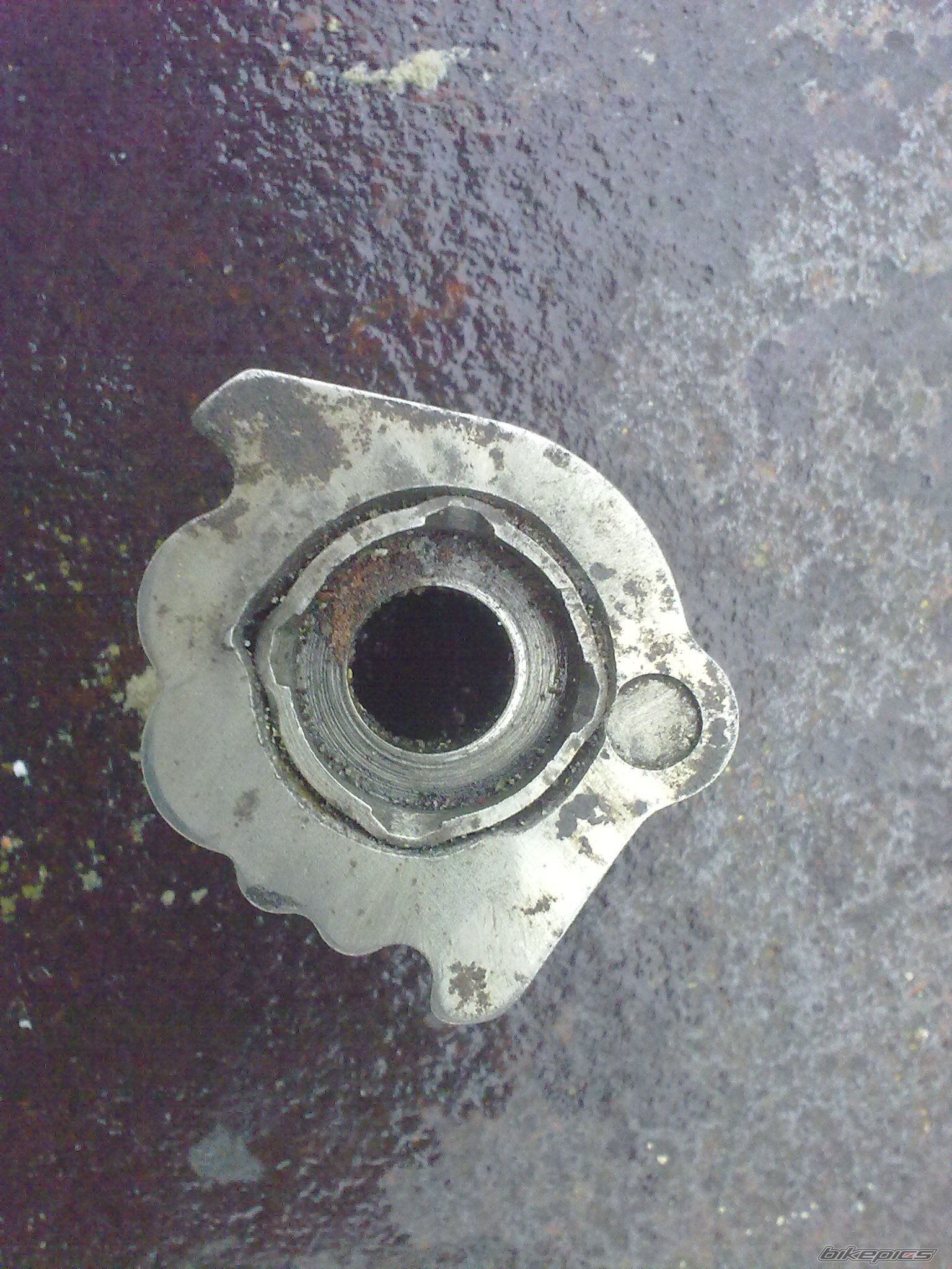 Photo 2336018