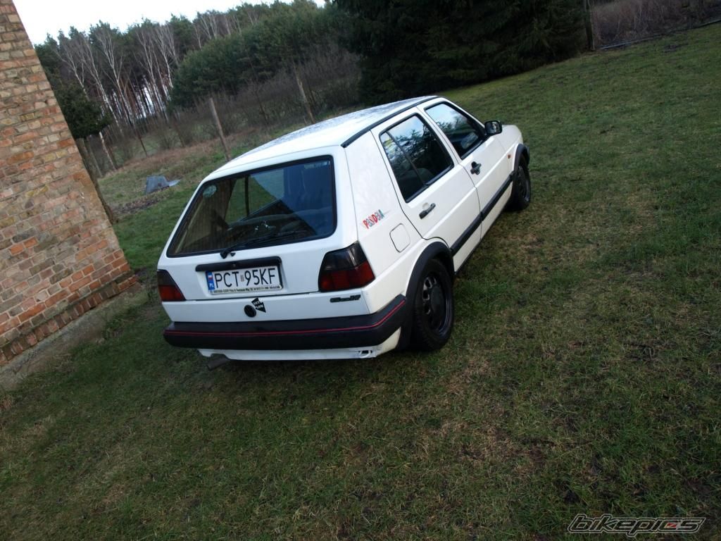 Photo 2336083