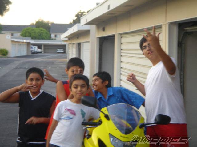Photo 233609