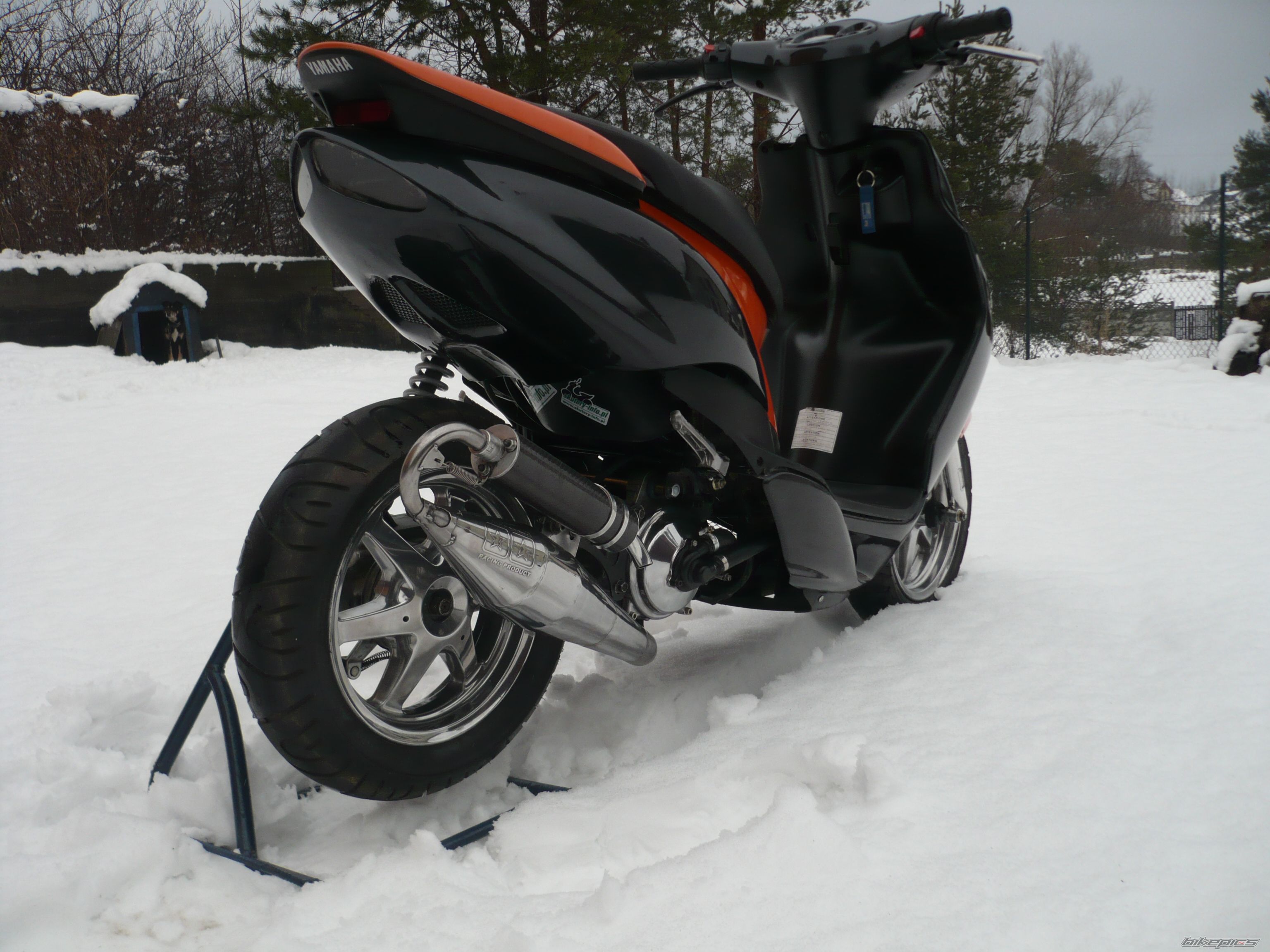 Photo 2336146