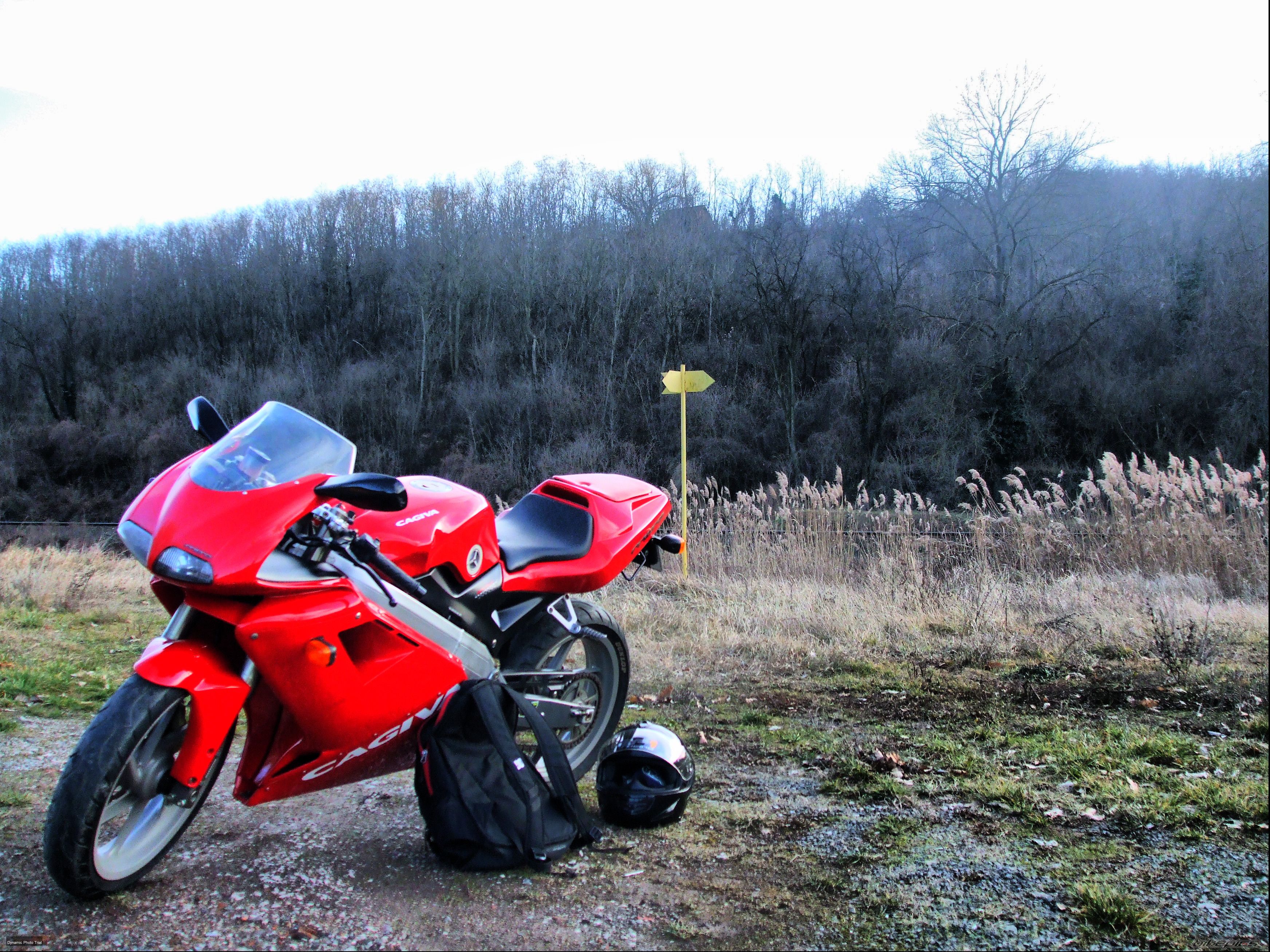 Photo 2336213