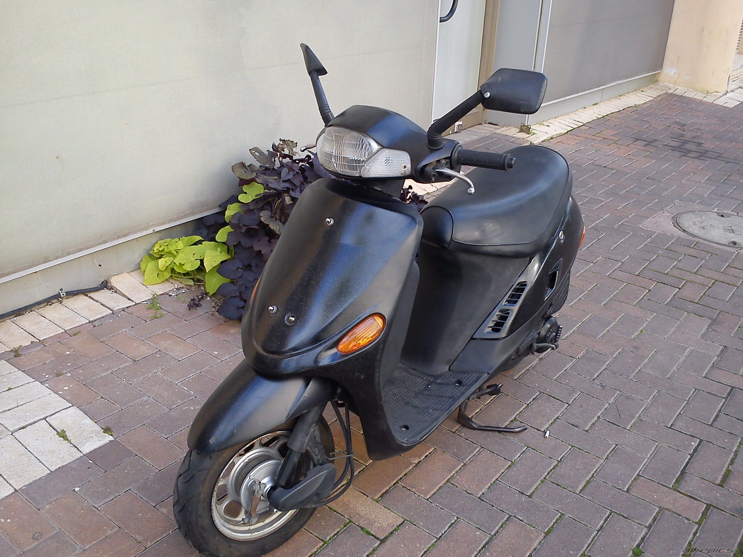 Photo 2336221