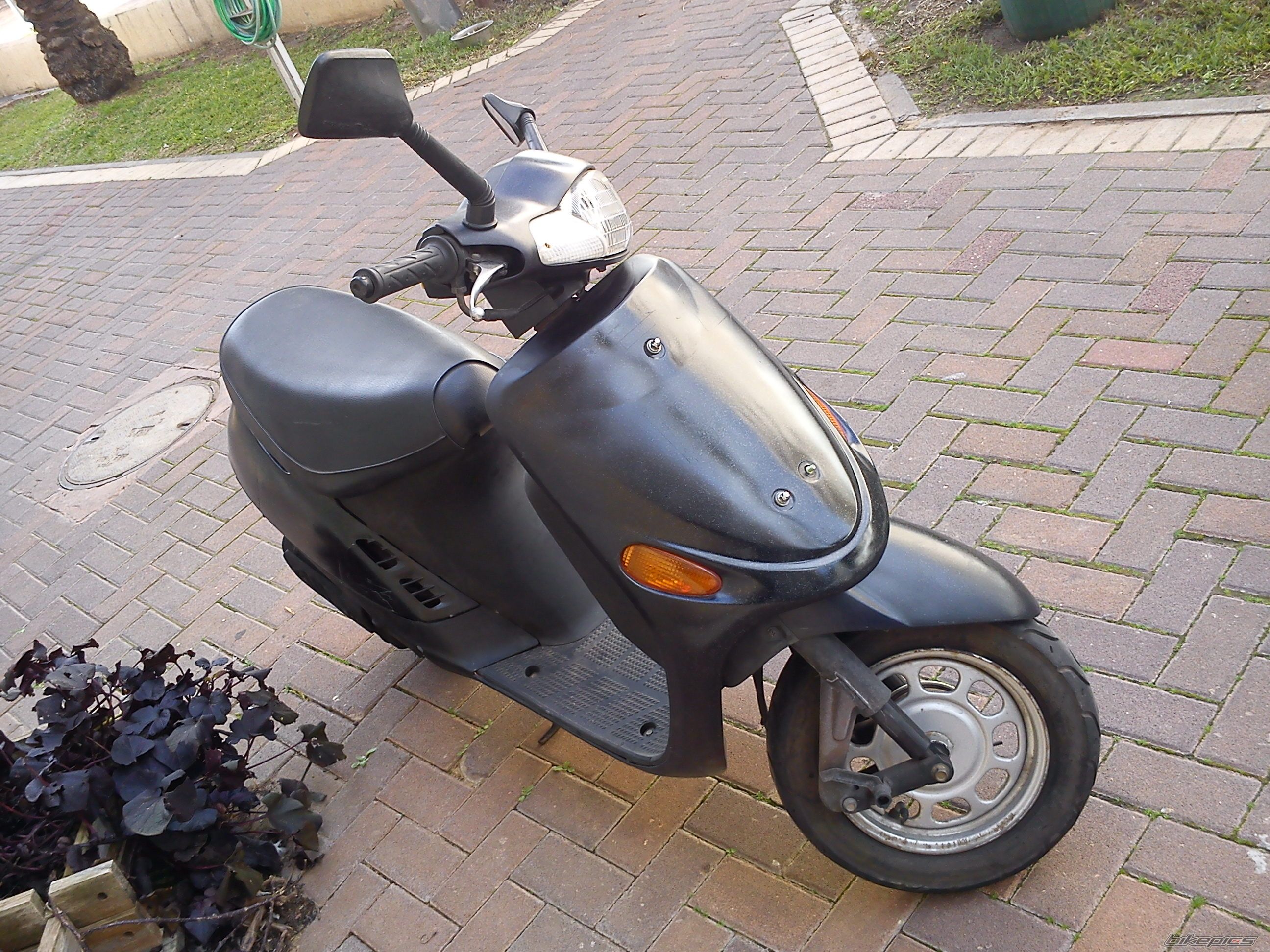 Photo 2336229
