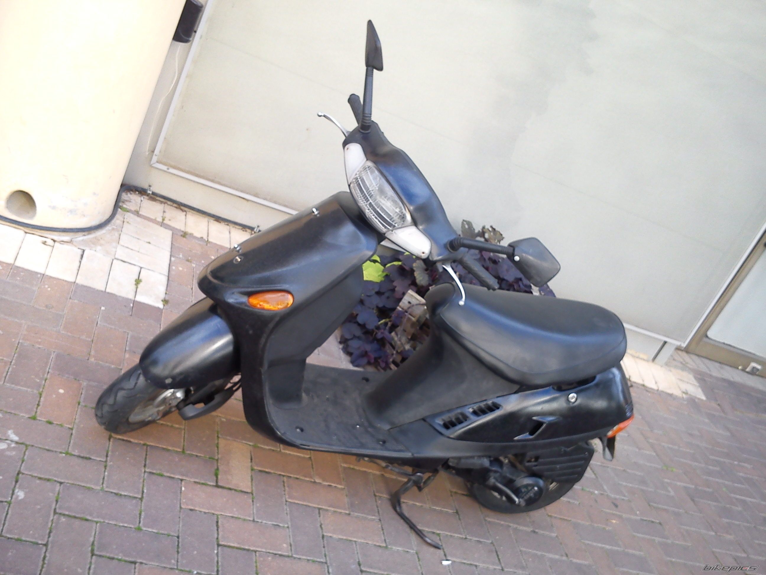 Photo 2336230